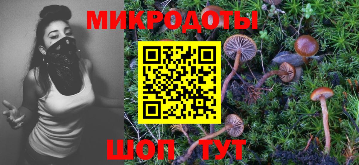 Псилоцибиновые грибы Cubensis Карпинск