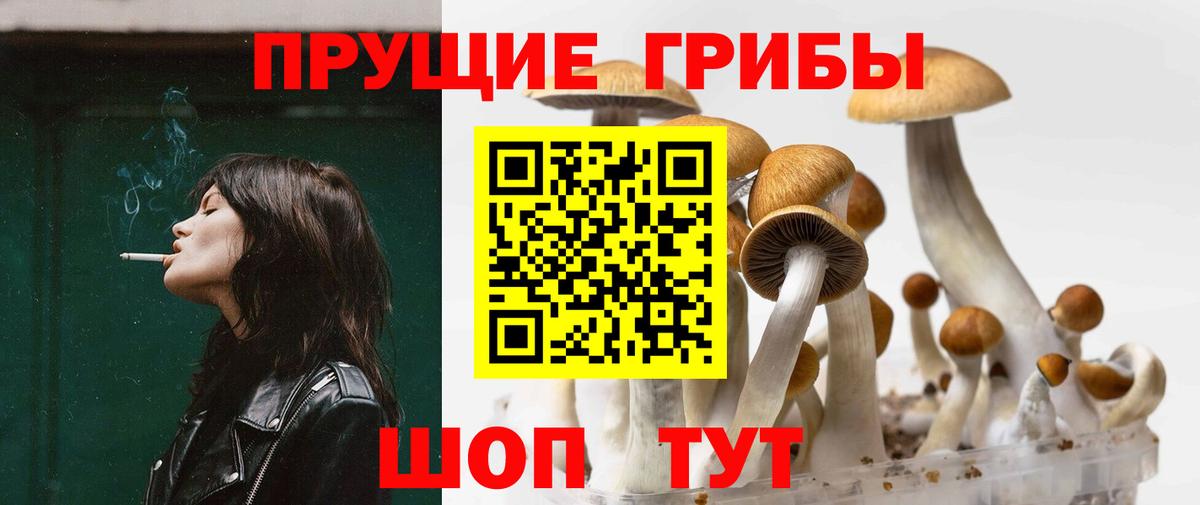 Псилоцибиновые грибы MAGIC MUSHROOMS  Галлюциногенные грибы GOLDEN TEACHER  Вход с VPN  Карпинск 